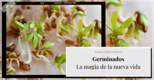 Germinados por diana lopez iriarte